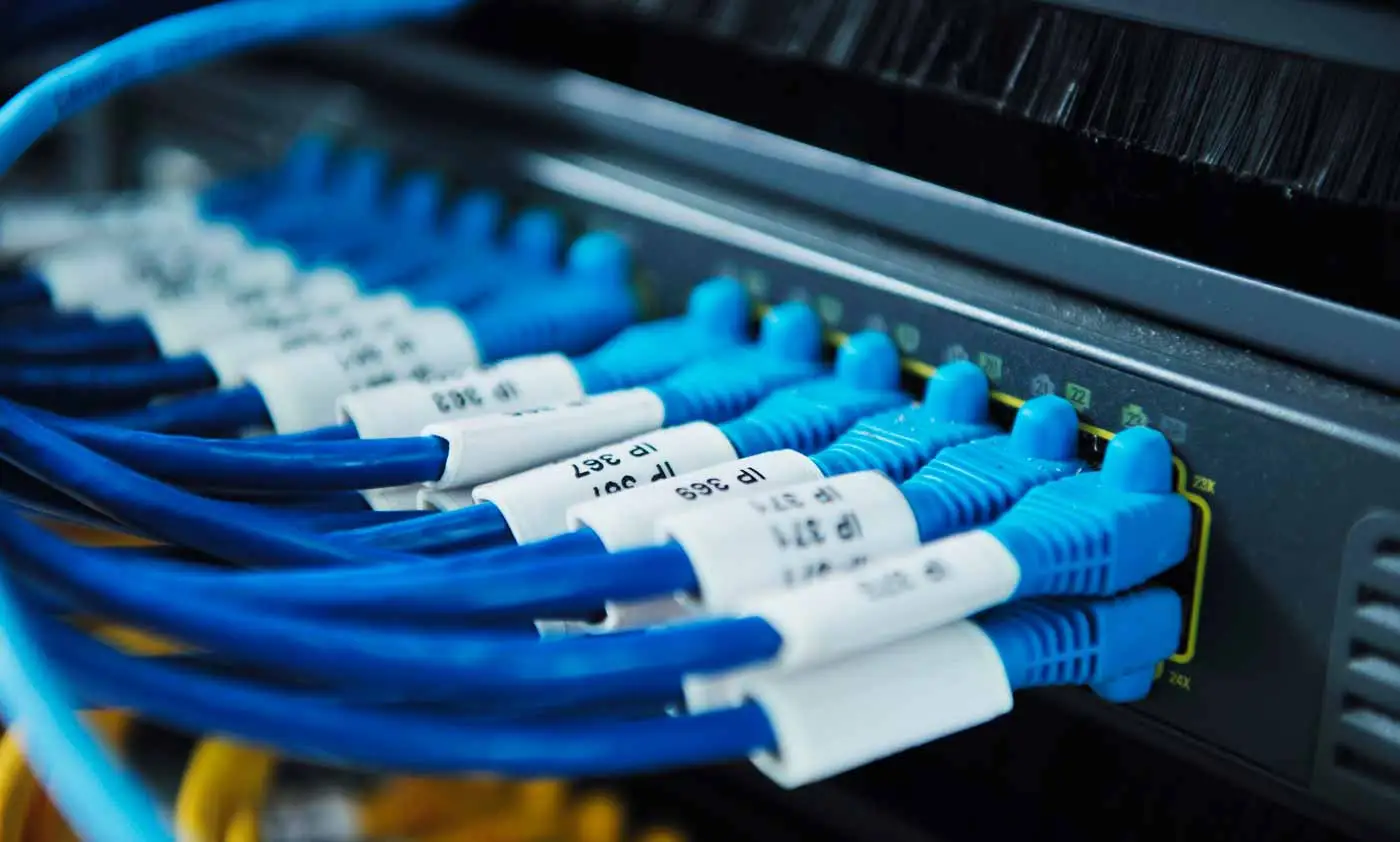 Photo de cables réseau bleus étiquetés branchés sur un switch dans une baie serveur