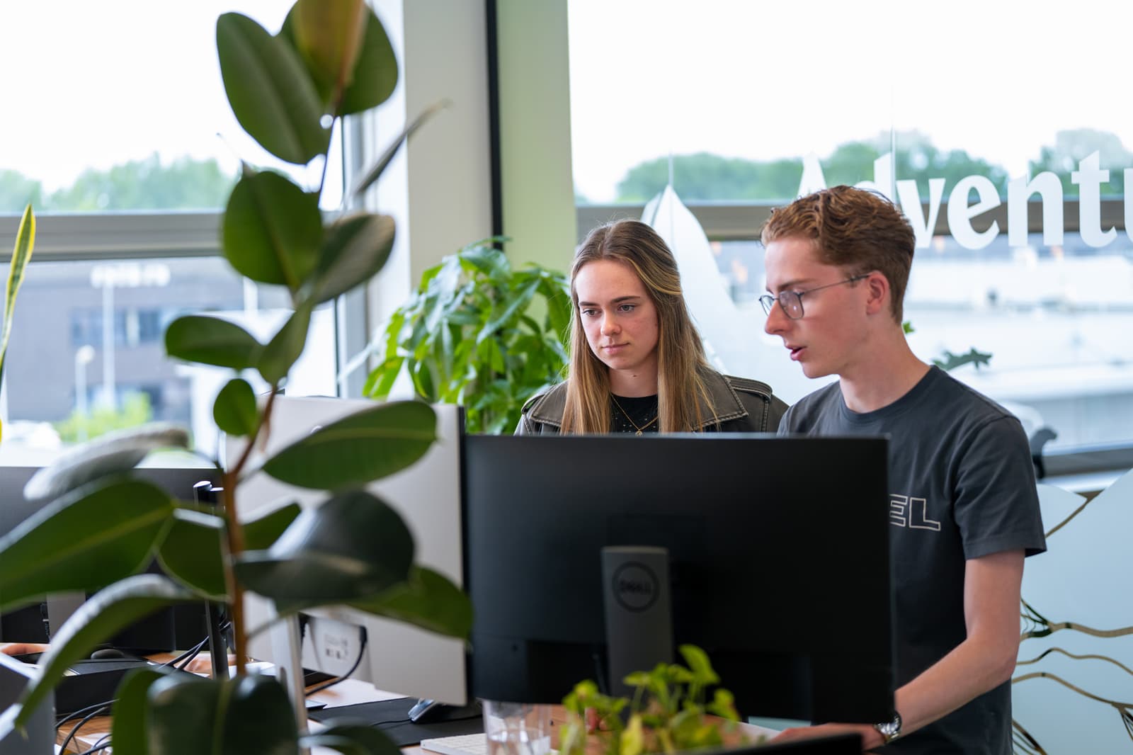 Photo de deux jeunes collègues regardant un écran d'ordinateur dans un bureau avec des plantes