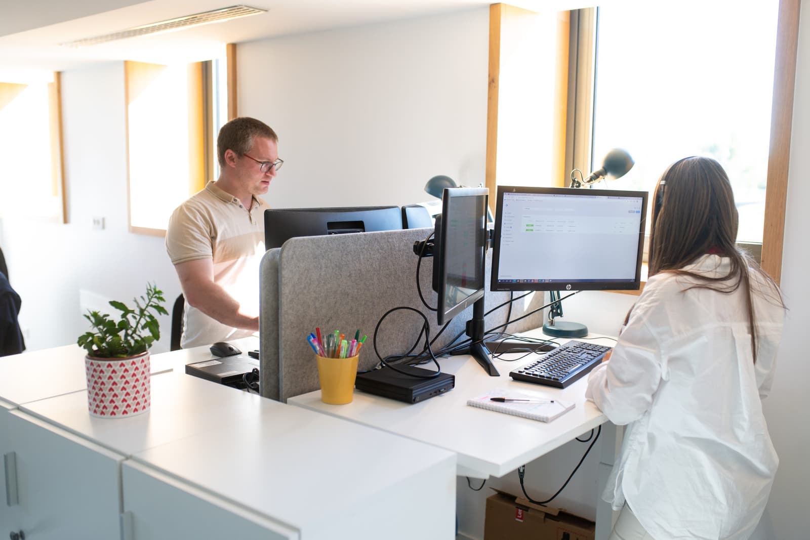 Photo de deux collègues travaillant face à face à leurs postes informatiques dans un bureau lumineux