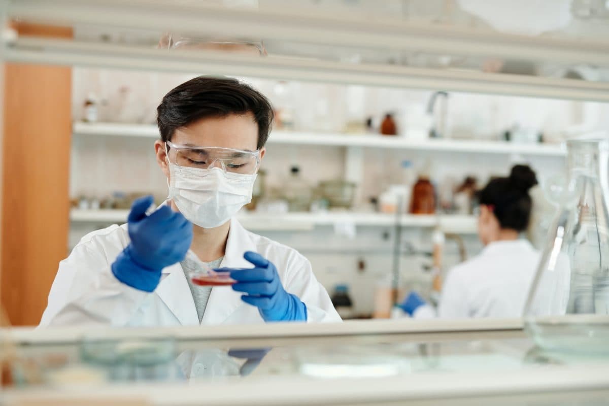 Photo d’un technicien de laboratoire masqué examinant une boîte de Petri sous hotte de sécurité